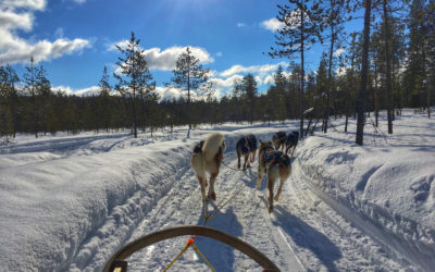 Exclusiv Reise nach Finnland: Motorschlitten- und Husky-Safari